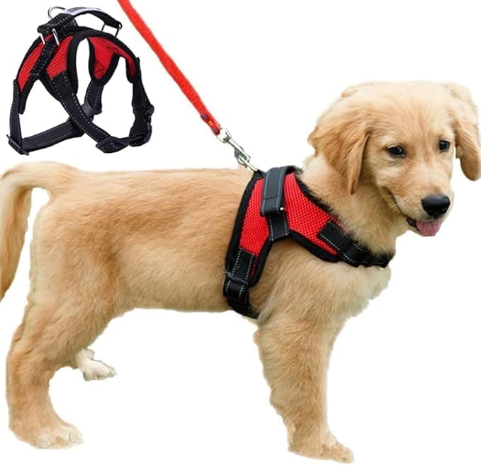 Dog Harness Mesh Breathable Comfortable Pet Vest No Pull Adjustable Soft Padded Dog Power Strap (S, Red)