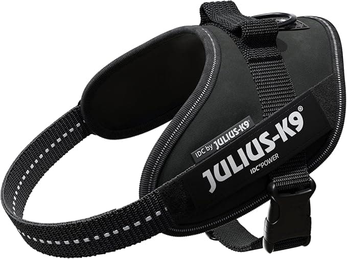 Julius-K9, 16IDC-P-M, IDC Powerharness, dog harness, Size: S/Mini, Black