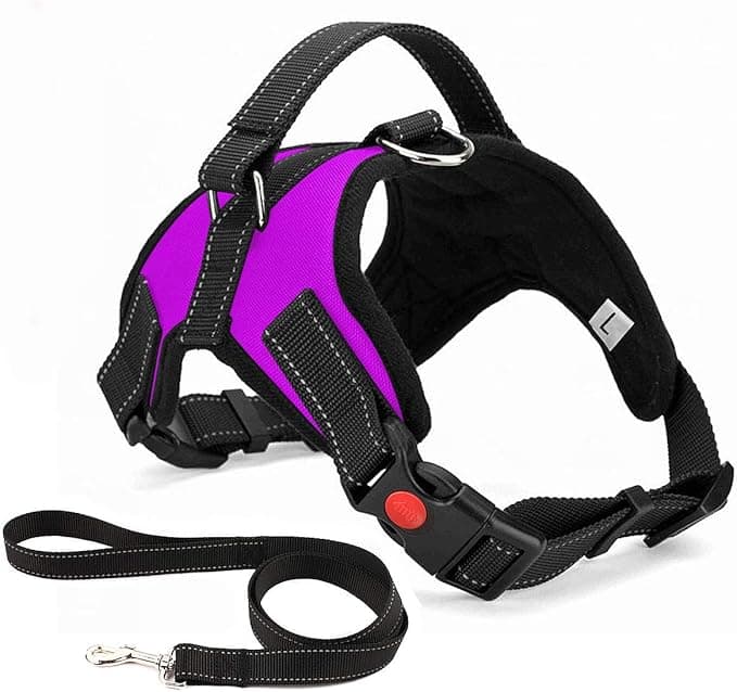 Musonic No Pull Dog Harness Breathable Adjustable Comfort Free Leash Included for Small Medium Large Dog Best for Training Walking S Purple